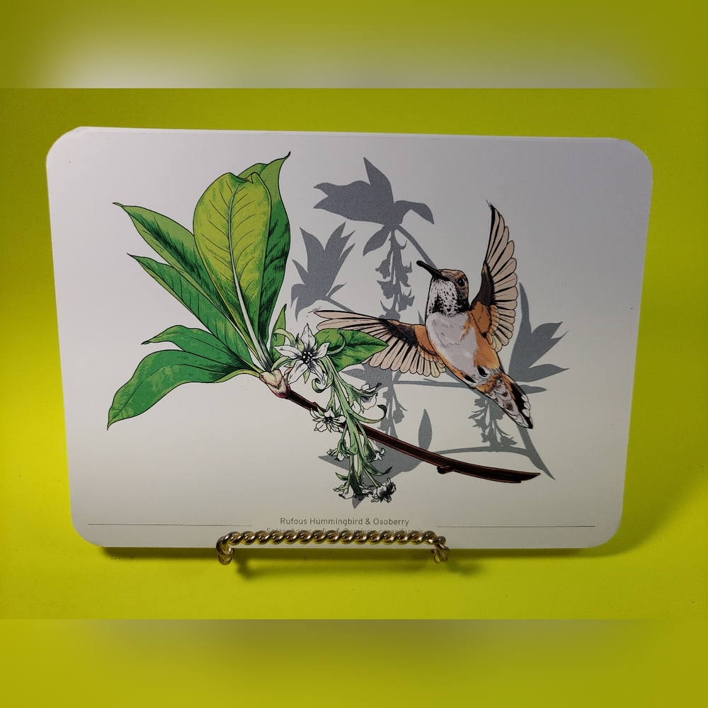 12 Nature Art Prints And Stand
